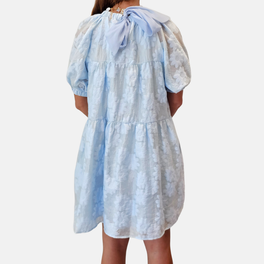 Sky Blue Organza Dress