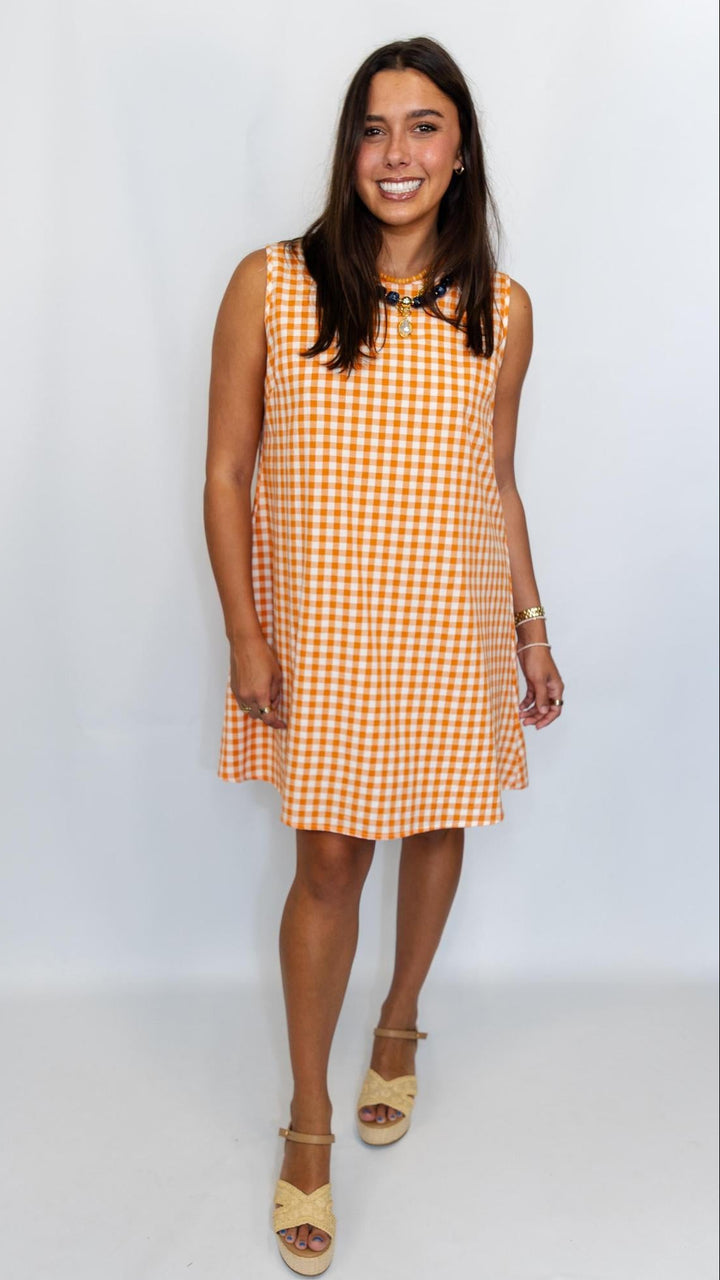 Sleeveless Gingham Dress