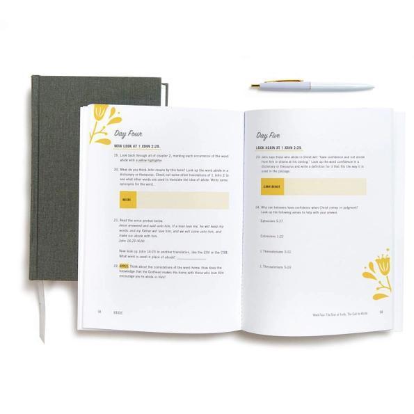 Abide Bible Study Book Video Access