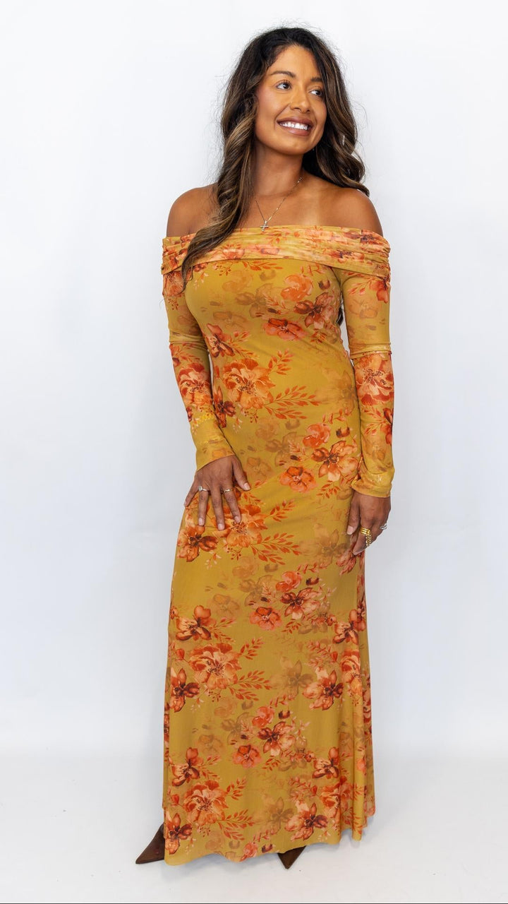 Off Shoulder Floral Mesh Dress
