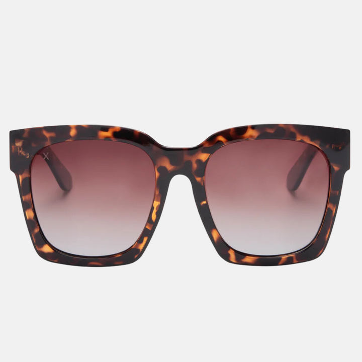 Anonymous Tort + Brown Gradient Polarized