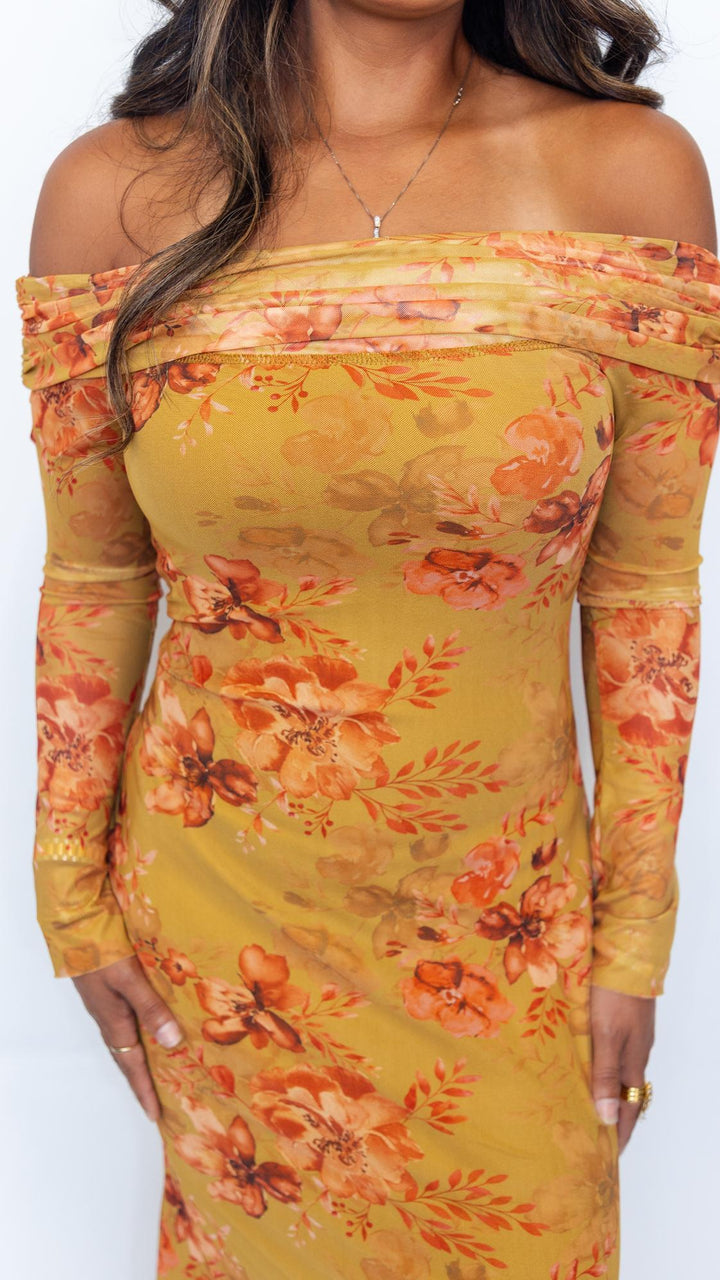 Off Shoulder Floral Mesh Dress