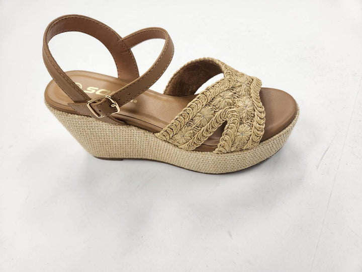 Natural Aster Raffia Wedge