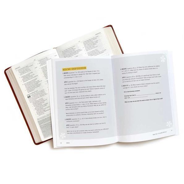 Abide Bible Study Book Video Access